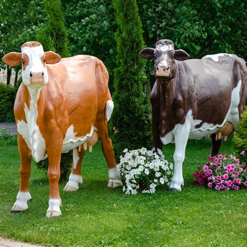 Фигуры коров