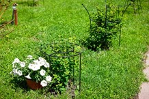 Садовые опоры и шпалеры для растений