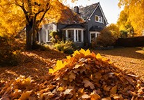 Нужно ли убирать опавшую осеннюю листву на участке?