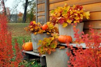 Осенний декор сада в ноябре