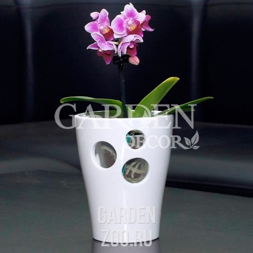 Кашпо Орхидея 10см белый - фото 48679
