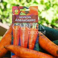 Морковь Апельсинка