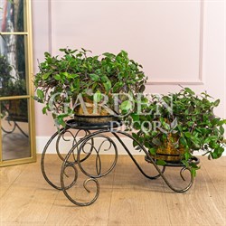 Подставка напольная на 2 растения металл 401-035BG