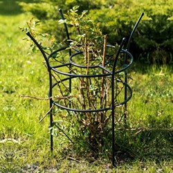 Опора металлическая для роз высота 69см 58-905