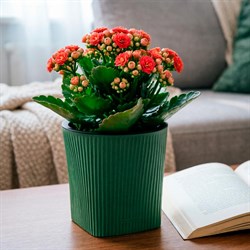 Кашпо Сити 3,5л тёплая хвоя