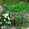 Опора для садовых растений металлическая полукруглая высота 69см 57-926 - фото 42454