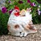 Фигура Курица с цыпленком для сада полистоун F07786 - фото 44646