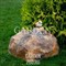 Крышка декоративная на люк Камень с птичкой стеклопластик F03132 - фото 44777