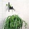 Кронштейн настенный Кошка для растений длина 29см металл 201-001B - фото 59368