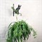 Кронштейн резной для цветочного кашпо Кошка длина 29см металл 201-003B - фото 59377