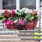 Балконный ящик для цветов с декоративным кованым кронштейном Кошка 203-009 - фото 59685