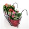 Балконный ящик для цветов с декоративным кованым кронштейном Кошка 203-009 - фото 59687