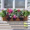 Балконный ящик для цветов с декоративным кованым кронштейном Цыплята 203-005 - фото 59696