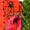 Кронштейн кованый для садового шланга Бабочки чёрный 802-014B - фото 60275