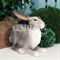 Фигура садовая Заяц ушастый серый полистоун F07429-Gray - фото 64138