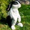 Фигура садовый Заяц Русак бело-чёрный F07436-WBL - фото 64143
