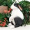 Фигура садовый Заяц Русак бело-чёрный F07436-WBL - фото 64145