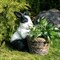 Кашпо садовое для растений Кролик с корзиной F08759-WBL - фото 64154