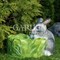 Кашпо для растений Заяц серый с капустой F08380-Gray - фото 64158