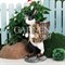 Фигура садовая Заяц с корзиной на спине для растений F01042-WBL - фото 64168