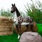 Фигура ростовая Конь большой стеклопластик высота 190 см U07494 - фото 64831