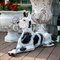 Фигура садовая  Собака Дог лежит чёрно-белый F01005 - фото 65786