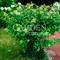 Опора для вьющихся растений садовая Зонт металл 58-964Gr - фото 65936