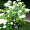 Опора для растений садовая разборная Зонт белая 58-965W - фото 65943