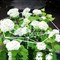Опора для растений садовая разборная Зонт белая 58-965W - фото 65944