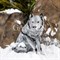 Фигура садовая Большой серый волк высота 67 см F01001 - фото 66975