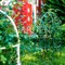 Опора для садовых растений металлическая зелёная Купол 58-909Gr - фото 67187