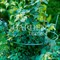 Опора металлическая для садовых растений зелёная 58-912Gr - фото 67218