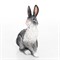 Фигура садовая Заяц серый полистоун F01007-Gray - фото 67233