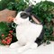 Фигура садовая Заяц ушастый черно-белый полистоун F07429-WBL - фото 67255