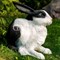 Фигура садовая Заяц ушастый черно-белый полистоун F07429-WBL - фото 67257
