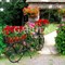 Подставка велосипед садовая кованая 53-654R - фото 69602