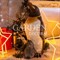 Фигура Пингвин с пингвиненком U08705 - фото 69626