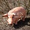 Фигура садовая Свинья полистоун длина 100см F01227 - фото 70391