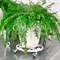 Подставка напольная на колёсиках для комнатных растений белая диаметр 30см 21-002W - фото 76002