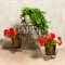 Подставка напольная на 5 цветков Лоза металл бронза высота 61см 11-005 - фото 77277