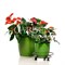 Подставка напольная под цветы на колёсиках диаметр 38см 12-007 - фото 78622