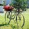 Цветочница садовая Велосипед на 5 горшков длина 194см металл 53-600 - фото 78631