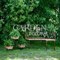Скамья полукруглая секционная садово-парковая с деревом длина 133см 891-92 - фото 79127