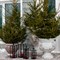 Вазон для сада и дома ребристый под патину диаметр 44см U07959-WP - фото 91451
